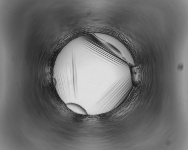 X0000099461156200806061122