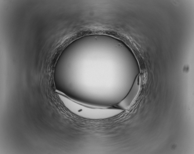 X0000099461157200806061122