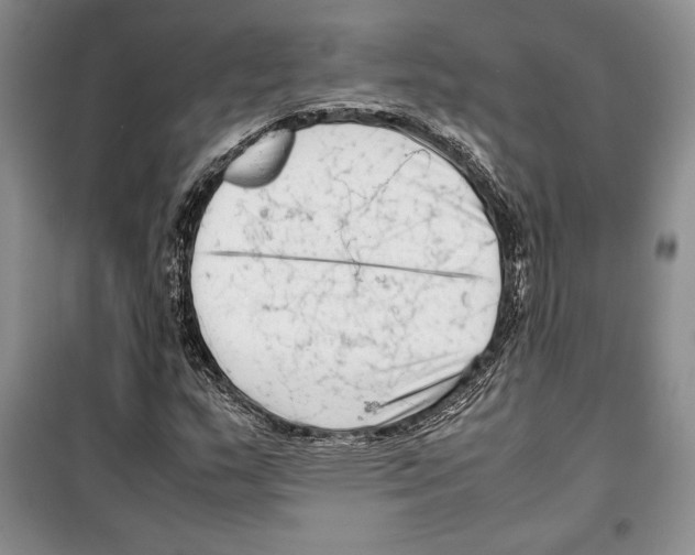 X0000099461159200806061122