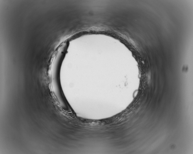 X0000099461160200806061122