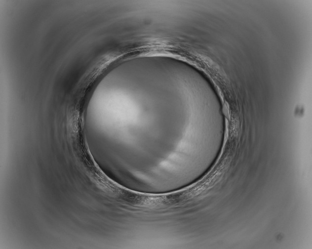 X0000099461161200806061122