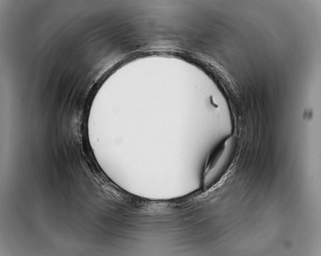 X0000099461162200806061122