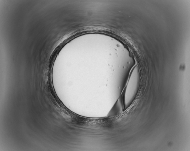 X0000099461165200806061122