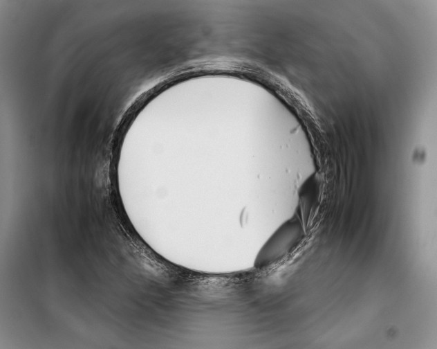 X0000099461166200806061122