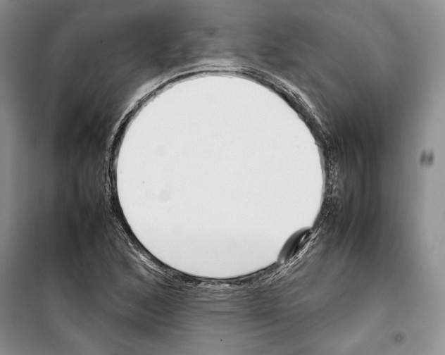 X0000099461168200806061122