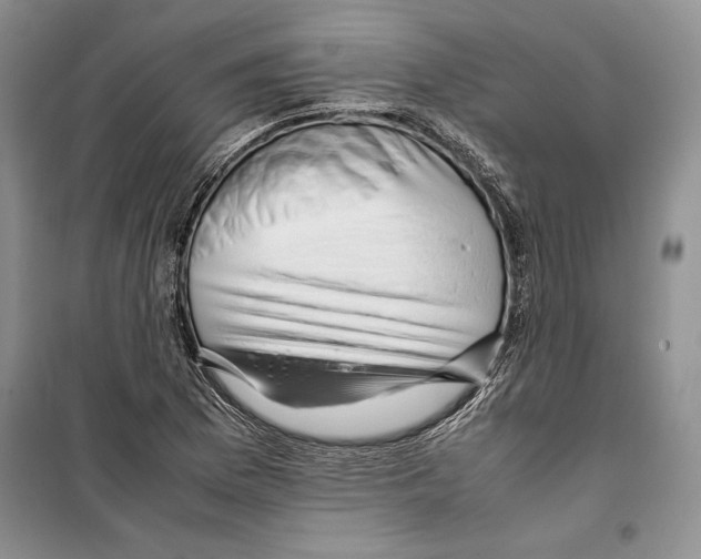 X0000099461169200806061122