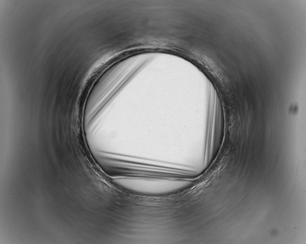 X0000099461172200806061122