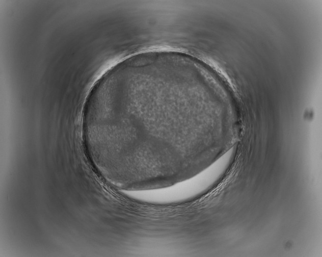 X0000099461173200806061122