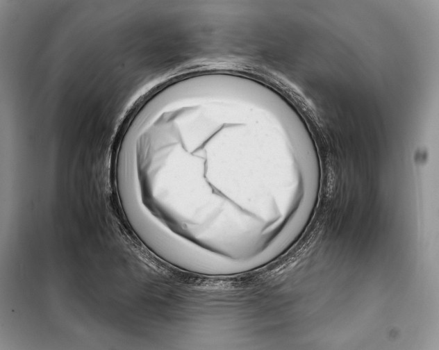 X0000099461174200806061122