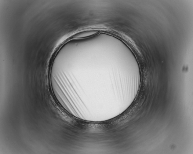 X0000099461176200806061122