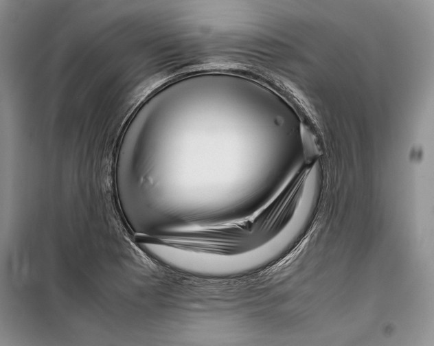 X0000099461177200806061122