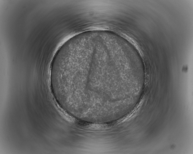 X0000099461179200806061122