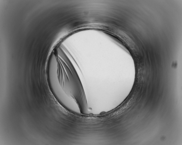 X0000099461180200806061122