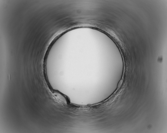 X0000099461181200806061122