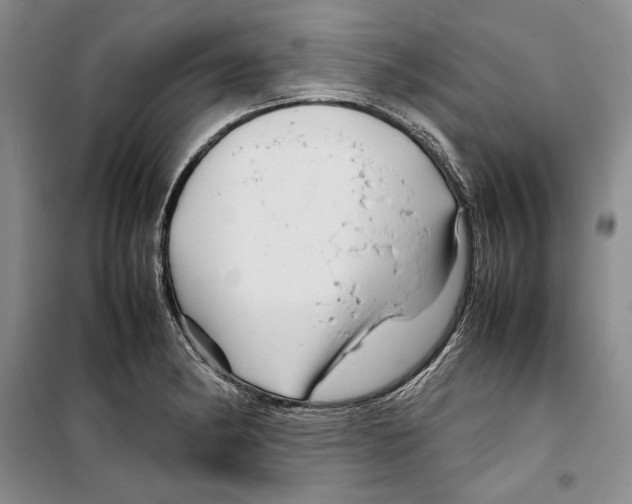 X0000099461182200806061122