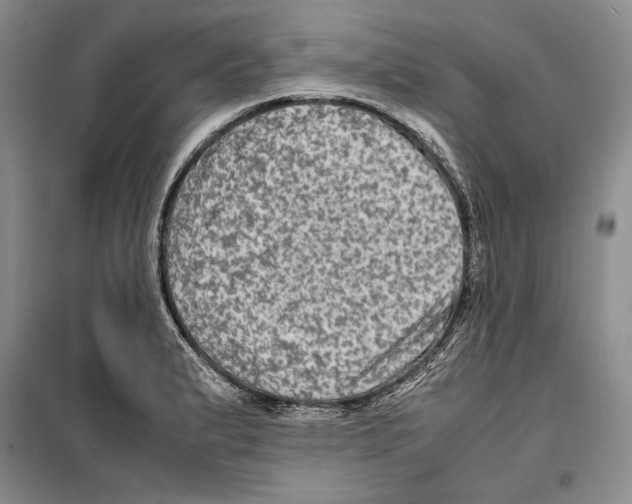 X0000099461183200806061122