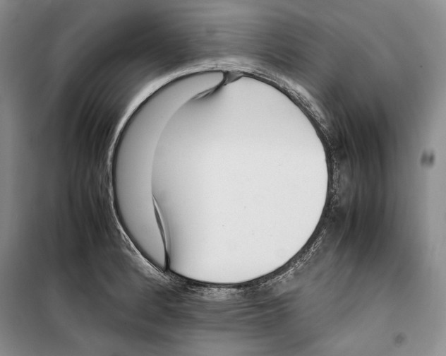 X0000099461184200806061122