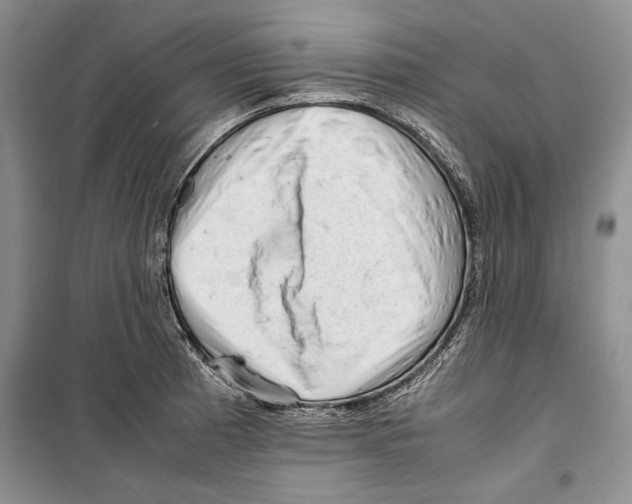 X0000099461185200806061122