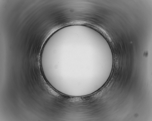 X0000099461186200806061122