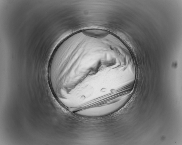 X0000099461189200806061122