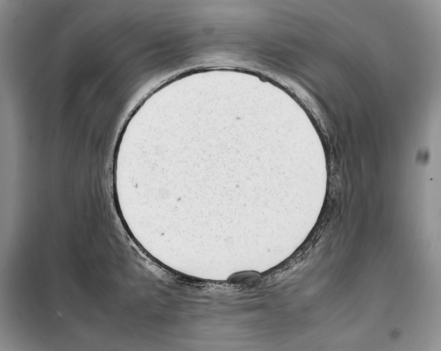 X0000099461191200806061122