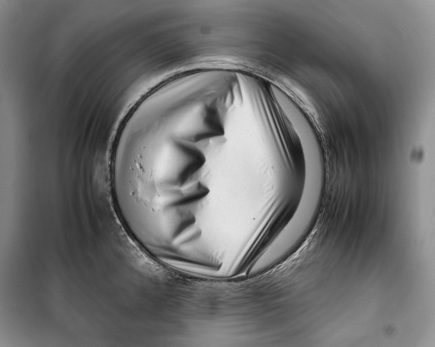 X0000099461192200806061122