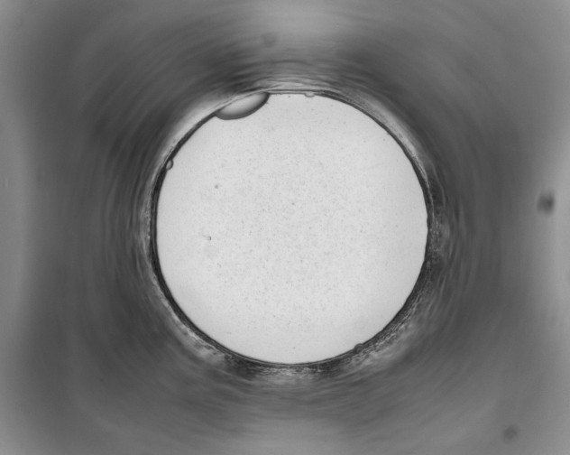 X0000099461195200806061122