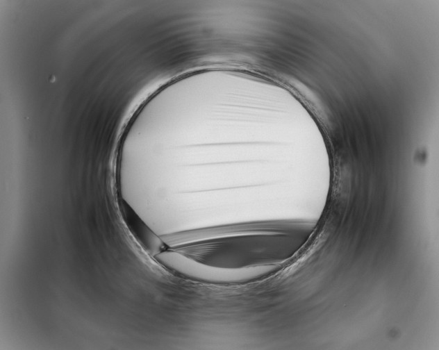 X0000099461196200806061122