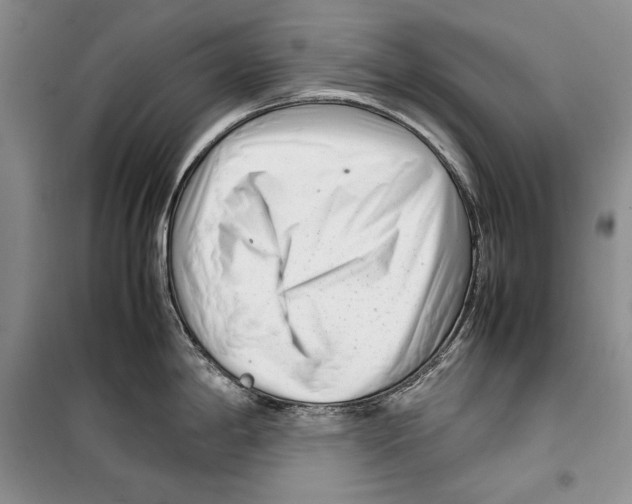 X0000099461198200806061122