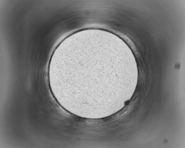 X0000099461199200806061122