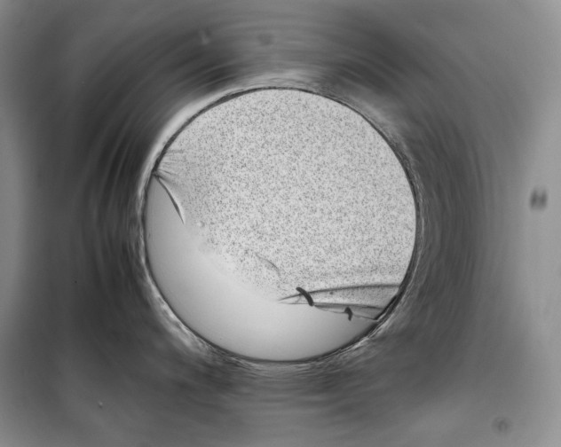 X0000099461200200806061122