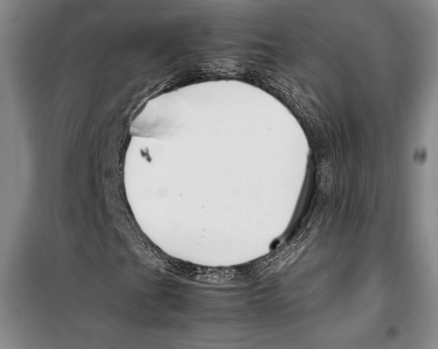 X0000099461201200806061121