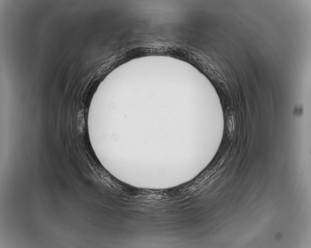 X0000099461204200806061121