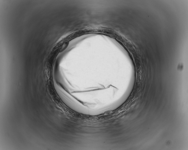 X0000099461206200806061121