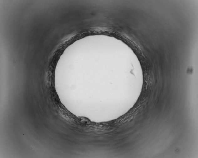 X0000099461207200806061121