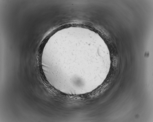 X0000099461208200806061121