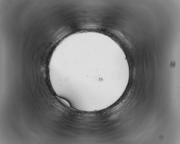 X0000099461209200806061121