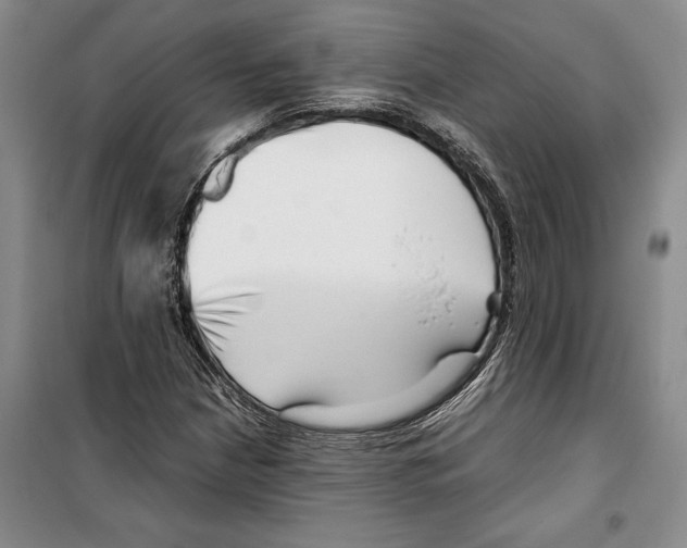 X0000099461210200806061121