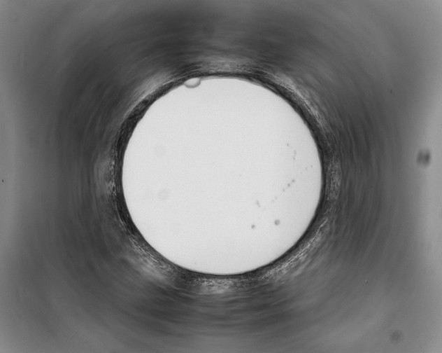 X0000099461211200806061121