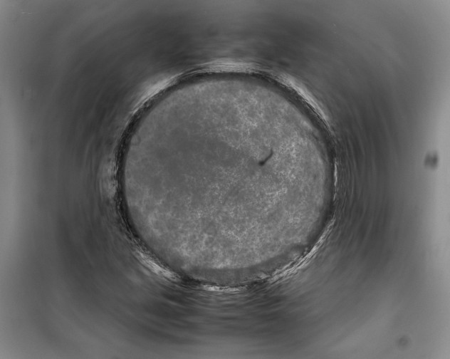 X0000099461213200806061121