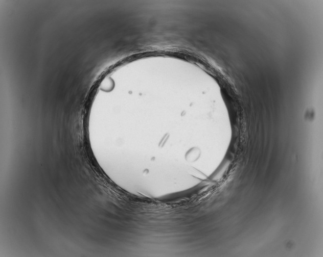 X0000099461214200806061121