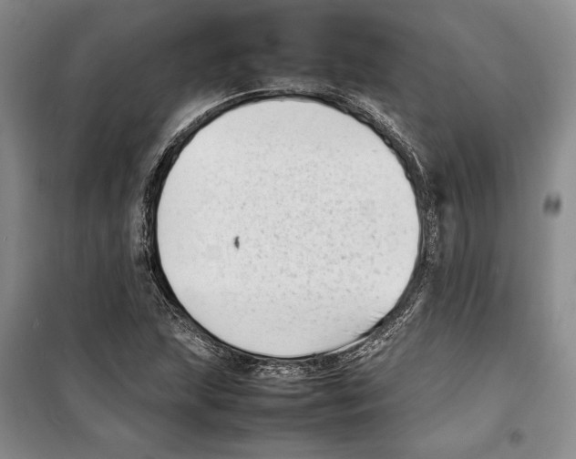 X0000099461215200806061121