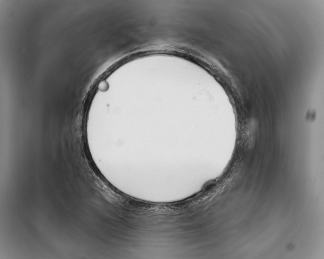 X0000099461216200806061121