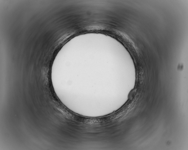 X0000099461217200806061121