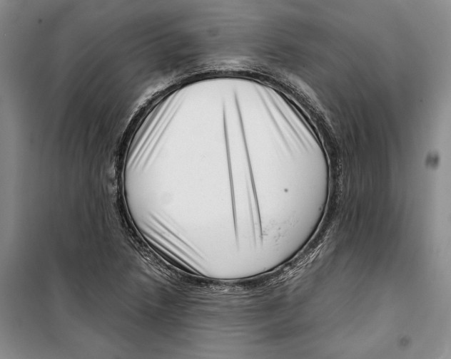 X0000099461218200806061121