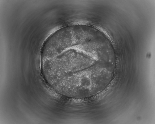 X0000099461219200806061121