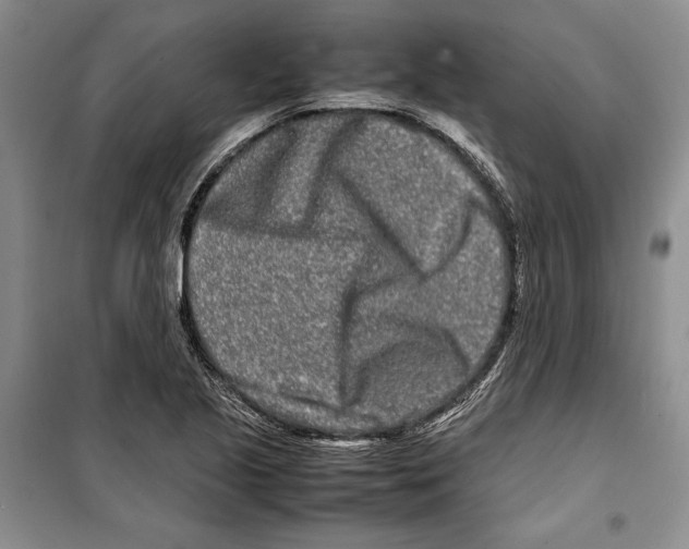 X0000099461221200806061121