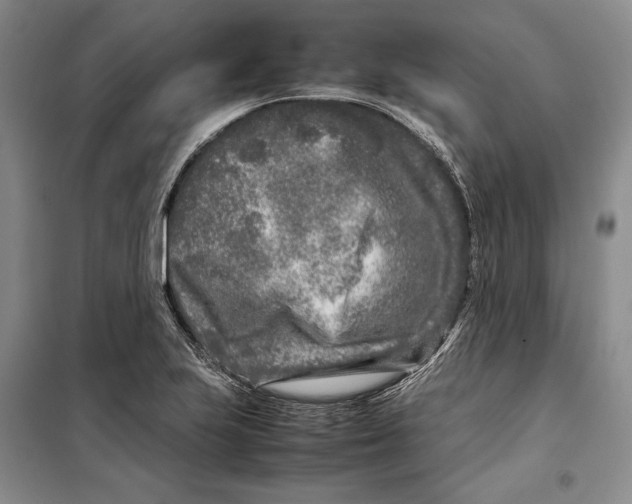 X0000099461223200806061121