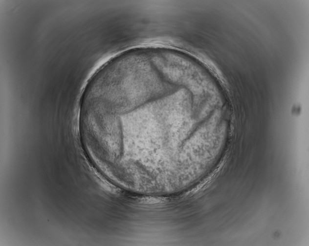 X0000099461224200806061121