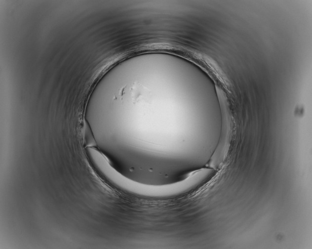 X0000099461225200806061121